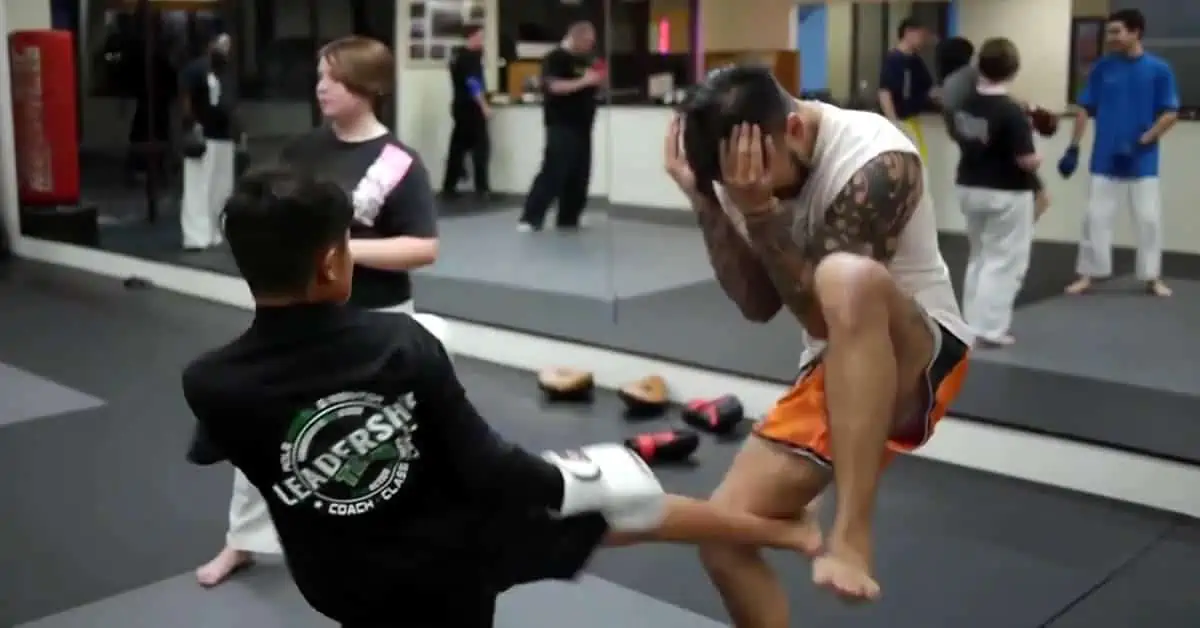 Roundhouse kick