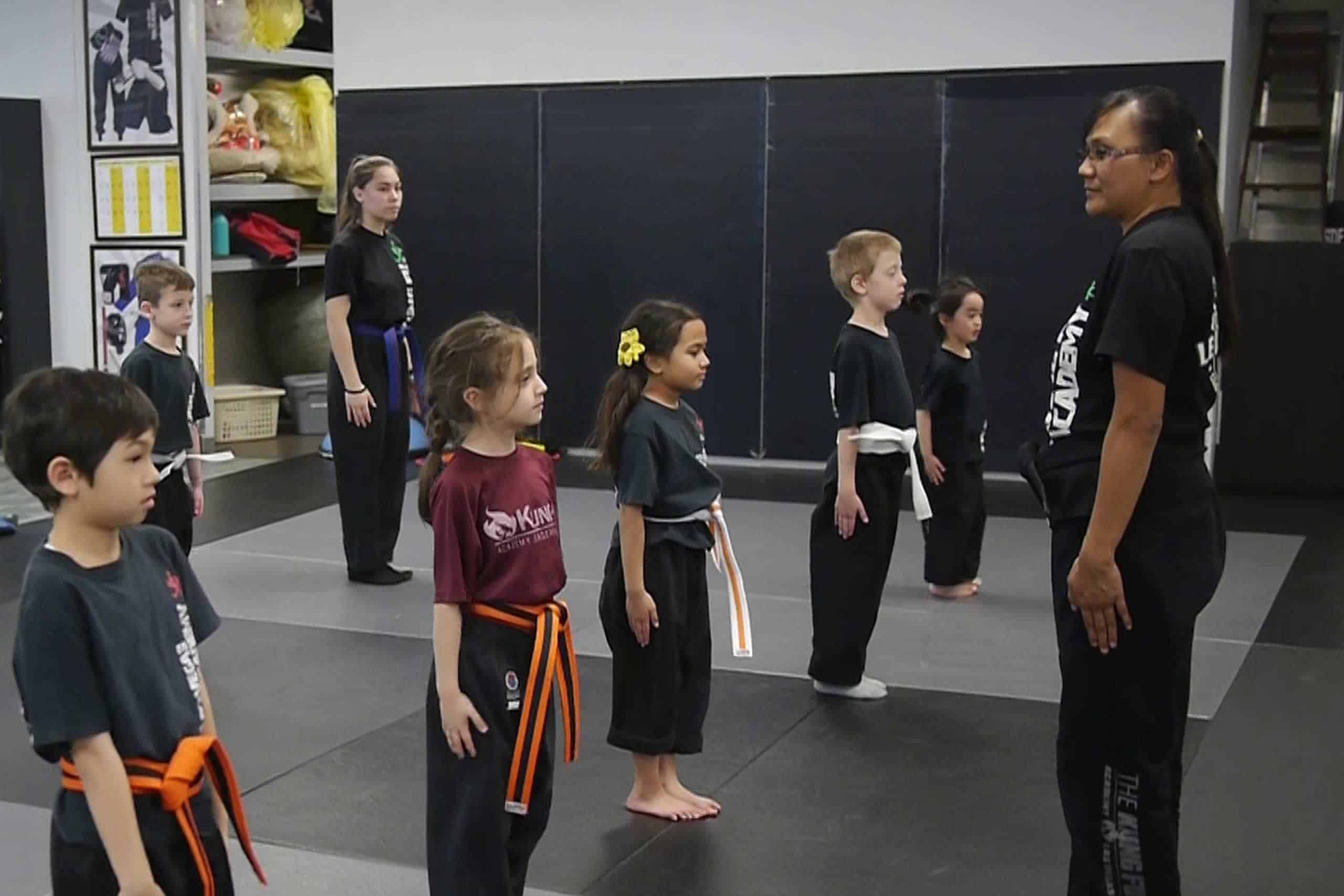 Try A Free Class Las Vegas Kung Fu Academy
